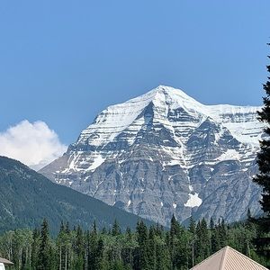 Meet your Posher, Aimee